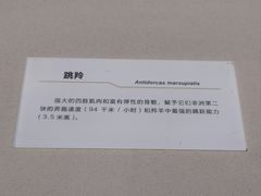 -重庆自然博物馆(新馆)