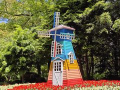 -上海共青森林公园