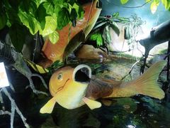 -泉州海丝野生动物世界