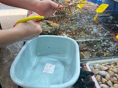 -船奇蒸汽海鲜·闽菜(八市海鲜总店)