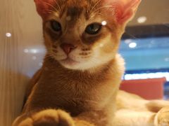 -乐宠宠物店(世纪金源店)