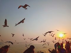 -星海湾跨海大桥