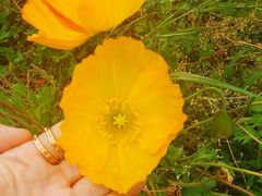 -名花谷生态庄园