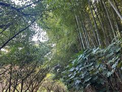 -九龙潭景区