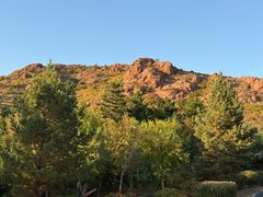 -红山国家森林公园