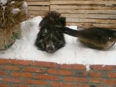 -雪谷