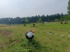 -渌洋湖湿地公园