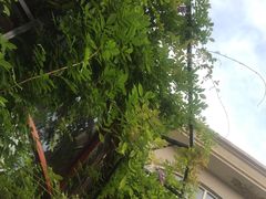 -东湖食堂·湖景餐厅•会议