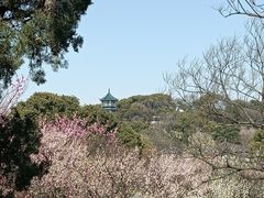-无锡梅园公园
