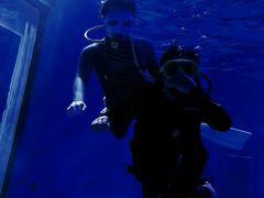 -顺德南宏海立方海洋公园