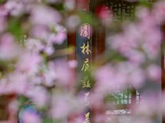 -堤角公园