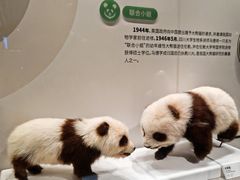 -四川大学博物馆