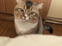 -宠颐生宠物医院·犬猫全科·皮肤科(商业街店)