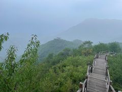 -大岭沟猕猴桃谷风景区