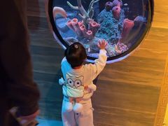 -沈阳海洋探索中心