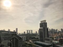 -新加坡乌节希尔顿酒店 (SG Clean)