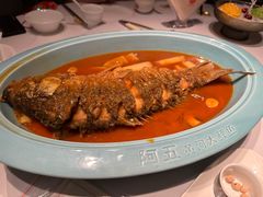 -阿五黄河大鲤鱼(英协路店)