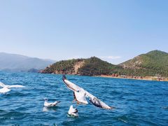 -丽江泸沽湖景区