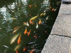 -珠海圆明新园