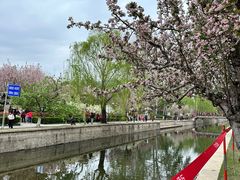 -元大都城垣遗址公园