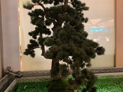 -巴奴毛肚火锅(悠唐购物中心店)