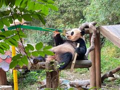 -广州长隆野生动物世界