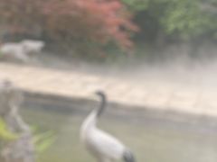 -广富林宰相府酒店·水云间