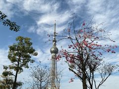 -文华公园(禅城区)