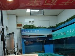 -永安水煮活鱼·仪征土菜院子