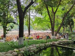 -成都市活水公园