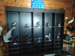 -南京金牛湖风景区