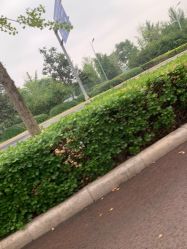 -HEYAN长风荷妍专业脱毛美肤
