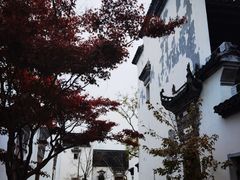 -广富林郊野公园