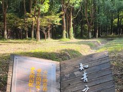 -东平国家森林公园