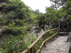 -木兰云雾山