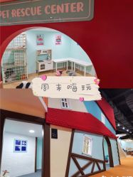 -Eureka优瑞卡儿童主题乐园(合生汇购物中心店)