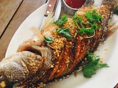 -Doo Dee Thai Food(Issan/Isaan/Esan)