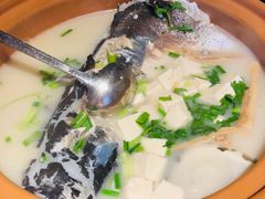 姜君千岛湖鱼头-姜君·千岛湖鱼头馆(浦东大道店)