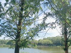 -北坞公园