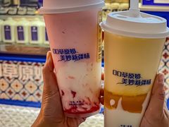 -西琳姑娘·新疆冰淇淋酸奶茶(南开大悦城店)