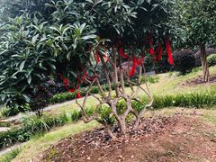 -武汉紫薇都市田园