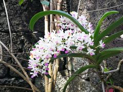 -侯臣咖啡文化村