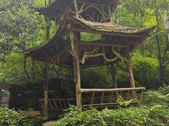 -青城山