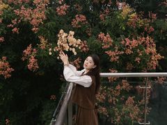 -武汉荟聚
