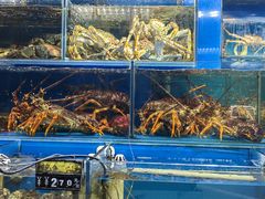 -岳各庄批发市场(西四环中路店)