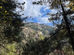 -鲁山国家森林公园