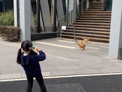 -星巴克(深圳前海企业公馆店)