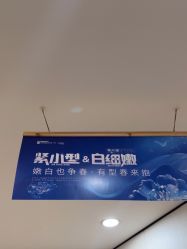 -郑荃丽格医疗美容