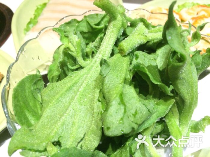 一叶一世界藏茶素食火锅(红牌楼店)非洲冰草图片 - 第2503张