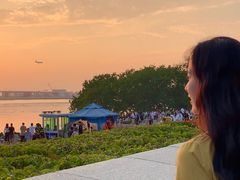 -宝安西湾红树林湿地公园